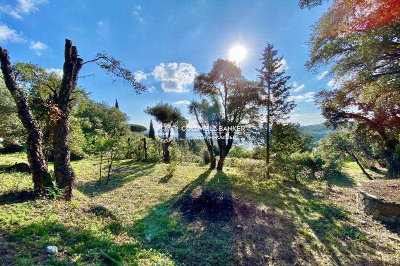 Vente terrain Grimaud Vente terrain Grimaud Land Grimaud Golfe de st tropez, to buy land 2100 m²