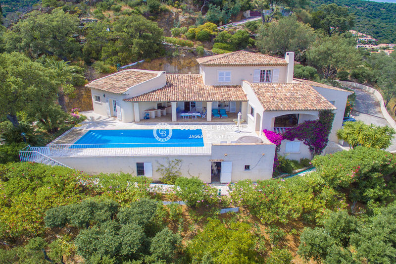 Photo Villa provençale Cavalaire-sur-Mer Golfe de st tropez, achat villa provençale 6 chambres 350 m²