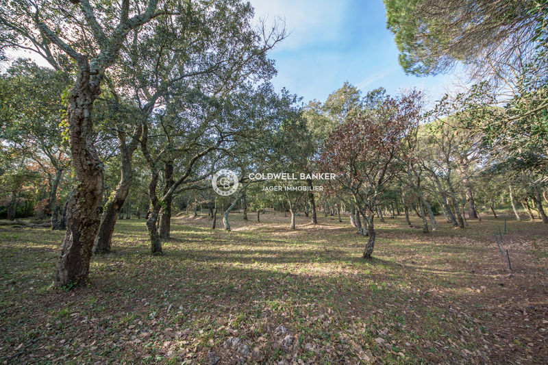 Vente villa provençale Gassin Vente villa provençale Gassin Villa provençale Gassin Golfe de st tropez, achat villa provençale 4 chambres 163 m²
