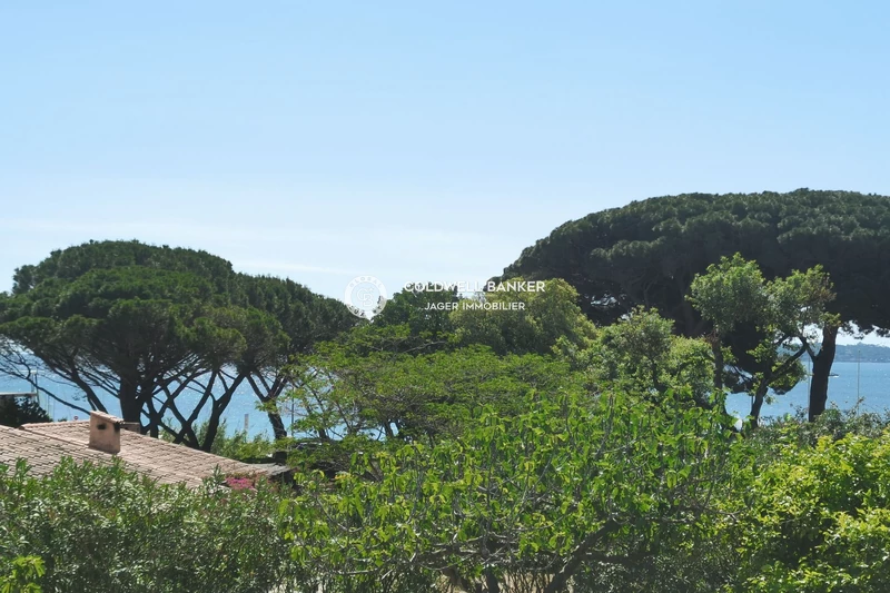Vente terrain à bâtir Sainte-Maxime  