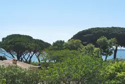 Vente terrain à bâtir Sainte-Maxime  