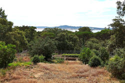 Vente terrain Grimaud  