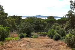 Vente terrain Grimaud  