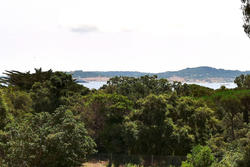 Vente terrain Grimaud  