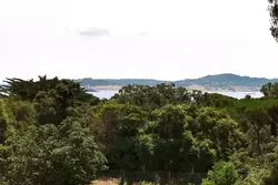 Vente terrain Grimaud  