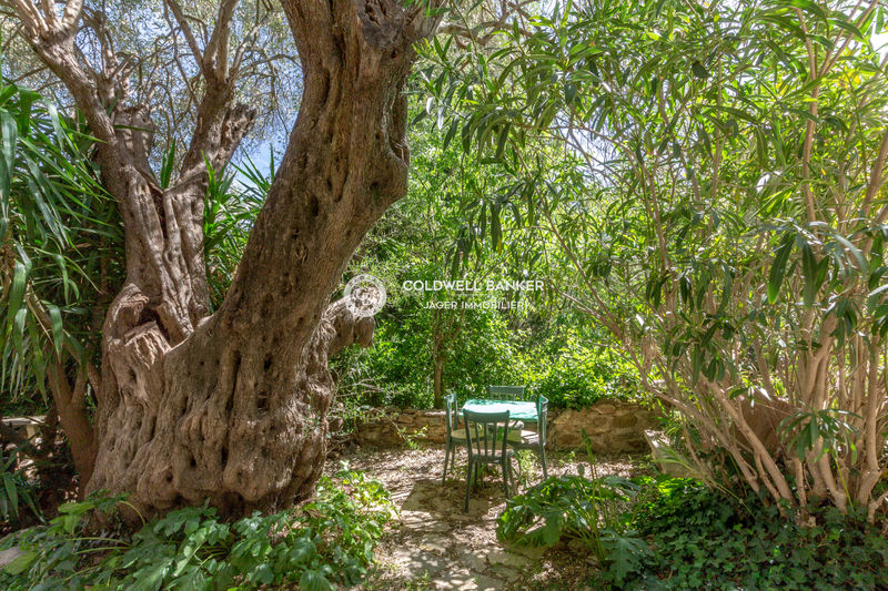 Photo Village house Grimaud Golfe de st tropez, to buy village house 3 bedrooms 145 m²