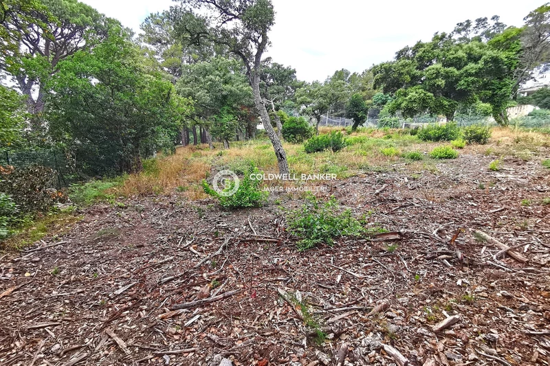 Vente terrain Grimaud  
