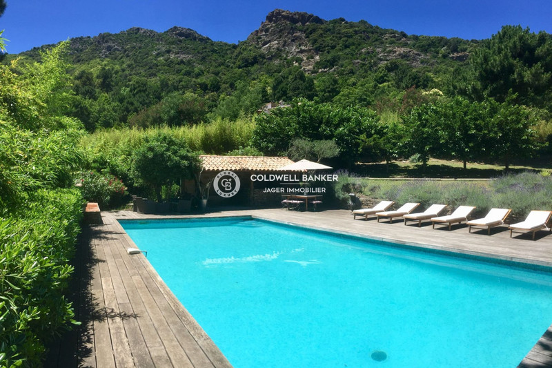 Photo n°7 - Vente Maison villa provençale La Garde-Freinet 83680 - 1 280 000 €