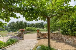Vente maison Cogolin  