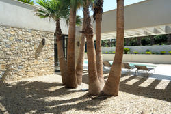 Vente villa Ramatuelle  