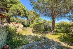 Vente villa Grimaud  
