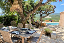 Vente villa Grimaud  