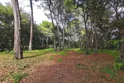Vente villa Mougins  