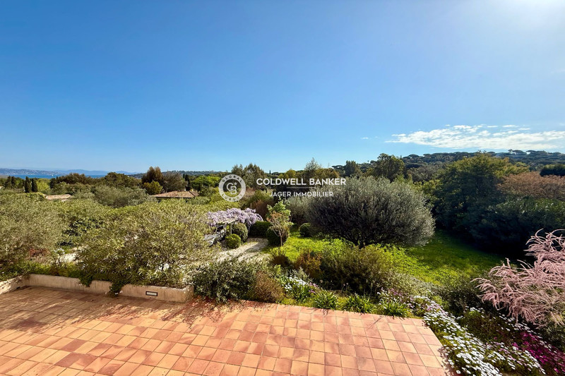 Photo n°4 - Vente Maison villa Saint-Tropez 83990 - 4 850 000 €