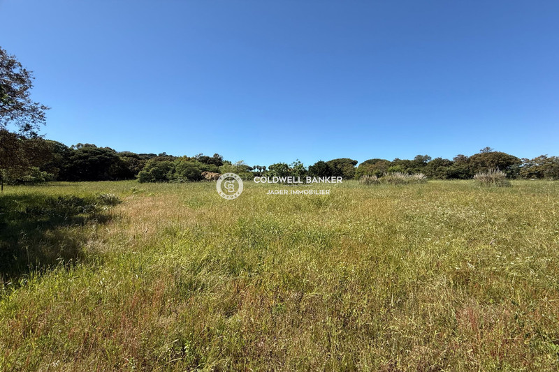 Photo n°8 - Vente Maison propriété Ramatuelle 83350 - 12 700 000 €