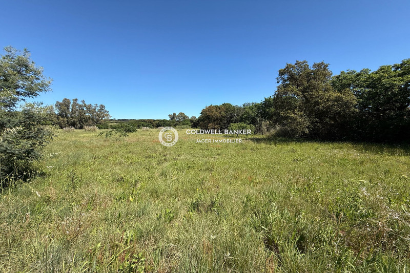 Photo n°9 - Vente Maison propriété Ramatuelle 83350 - 12 700 000 €