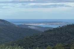 Vente maison La Garde-Freinet  