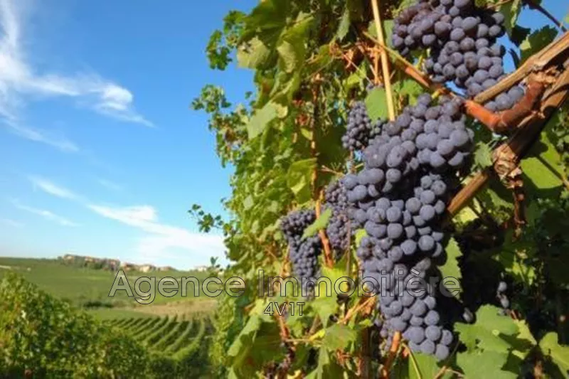 Photo Terrain agricole Chaumont Centre-ville,   achat terrain agricole   20000&nbsp;m&sup2;