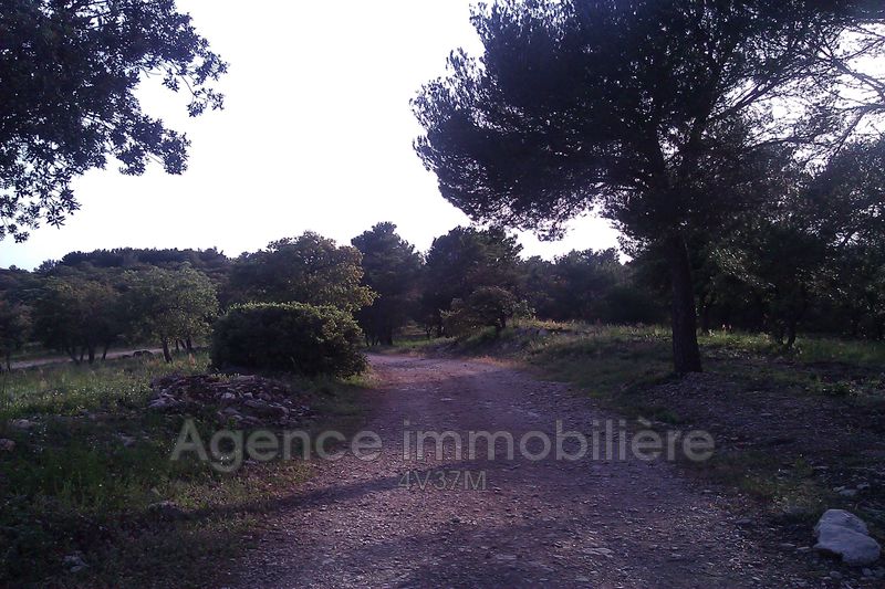 Photo Villa Le Beaucet   achat villa  5 pièces   250&nbsp;m&sup2;