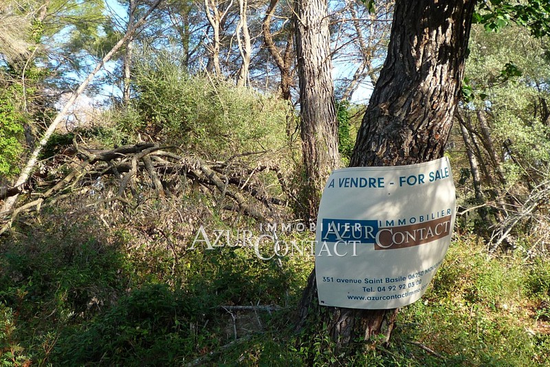 vente Terrain Mougins Residentiel Terrain Mougins Residentiel, achat terrain 10988 m²