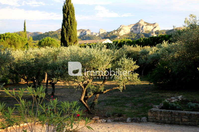 Location saisonnière villa provençale Saint-Rémy-de-Provence  