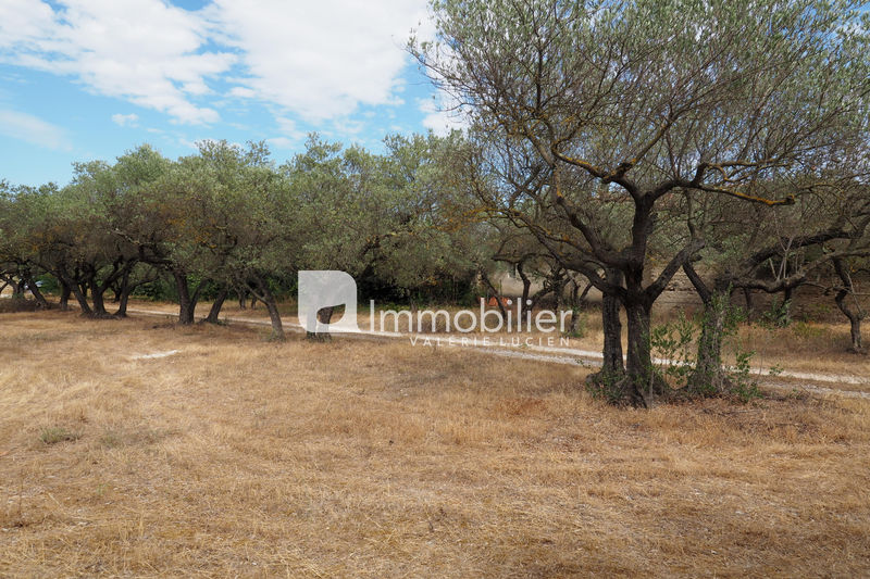For sale - land - A pied du centre-ville Saint-Rémy-de-Provence - 299 000 € - Ref. 404V2148T Photo Land Saint-Rémy-de-Provence A pied du centre-ville, to buy land 560 m²
