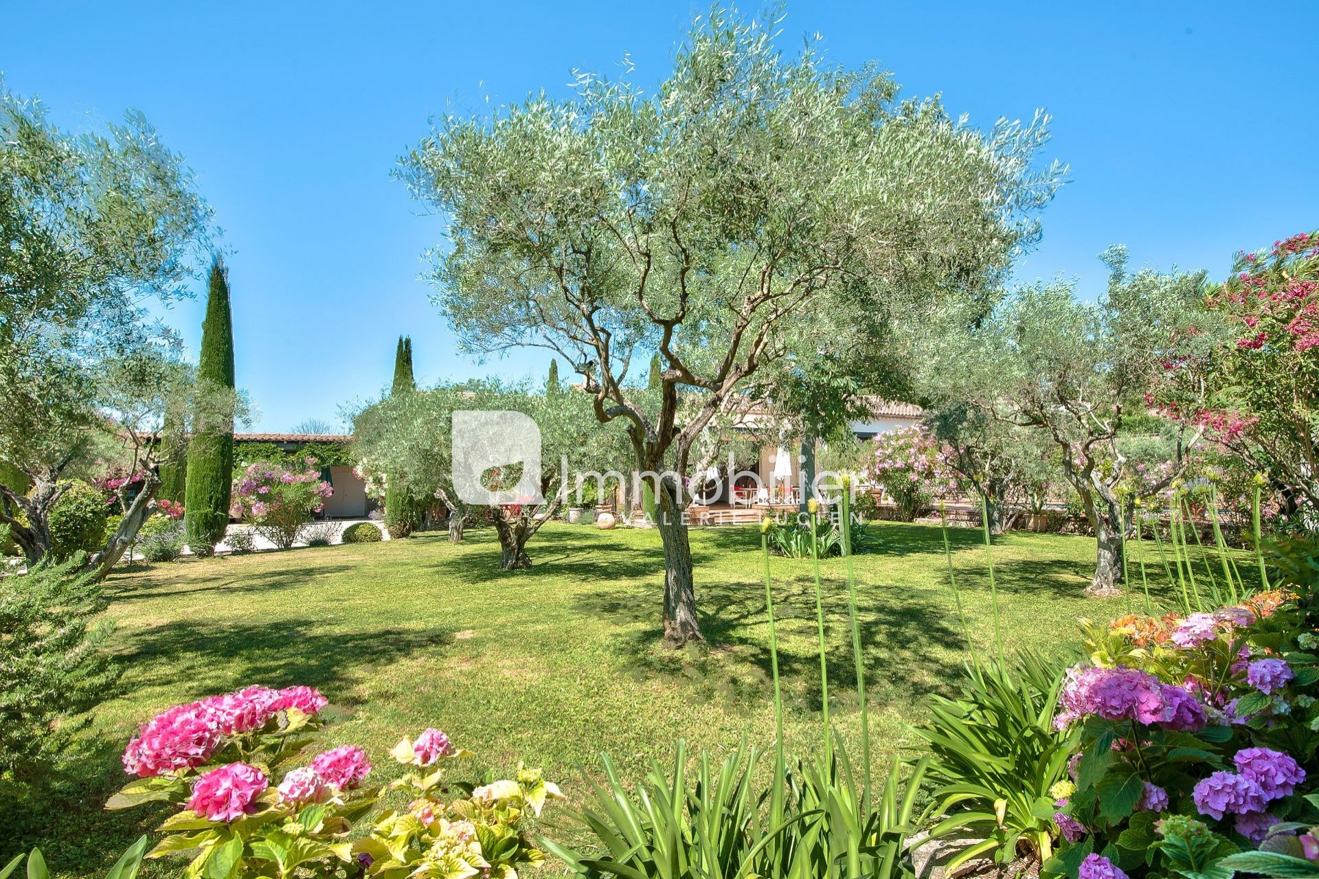 Photo Villa Saint-Rémy-de-Provence   to buy villa  4 bedrooms   250&nbsp;m&sup2;
