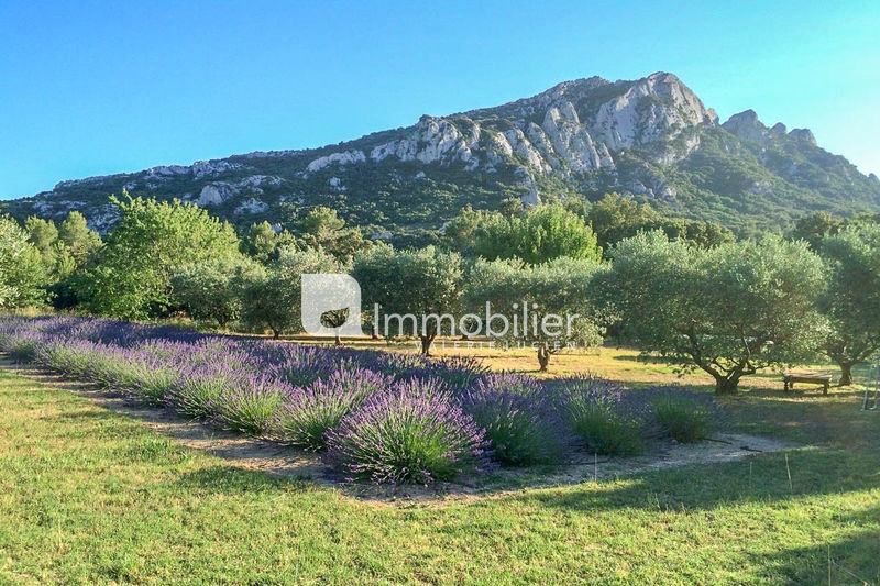 For sale - stone house - Alpilles Eygalières - 1 980 000 € - Ref. 404V3816M Photo Stone house Eygalières Alpilles, to buy stone house 6 bedrooms 270 m²