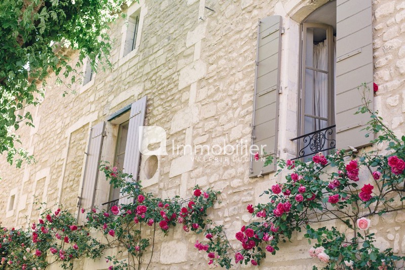 Photo Maison de village Saint-Rémy-de-Provence Centre historique,   achat maison de village  5 chambres   280&nbsp;m&sup2;