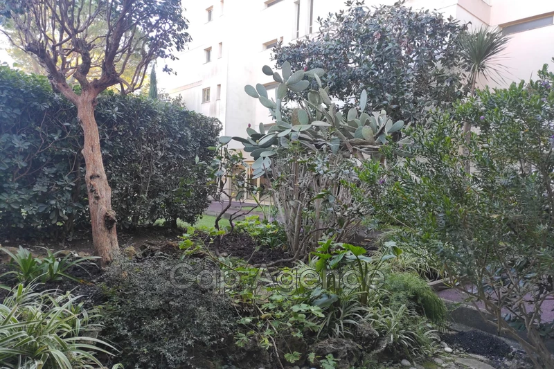 vente Appartement Juan-les-pins Appartement Juan-les-Pins Location appartement 33 m²