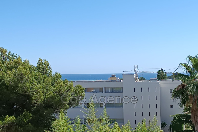 appartement  1 room  Antibes Antibes  46 m² -   