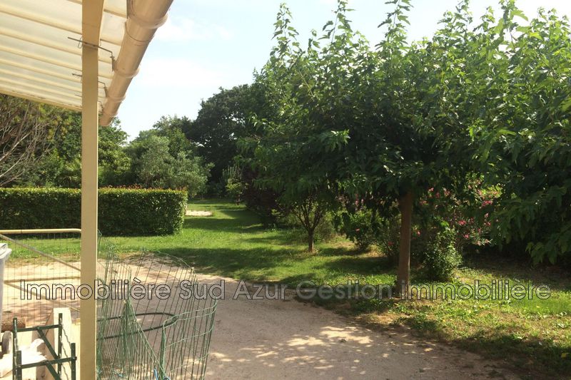 Photo Maison Solliès-Pont Location maison 3 pièces 60 m²