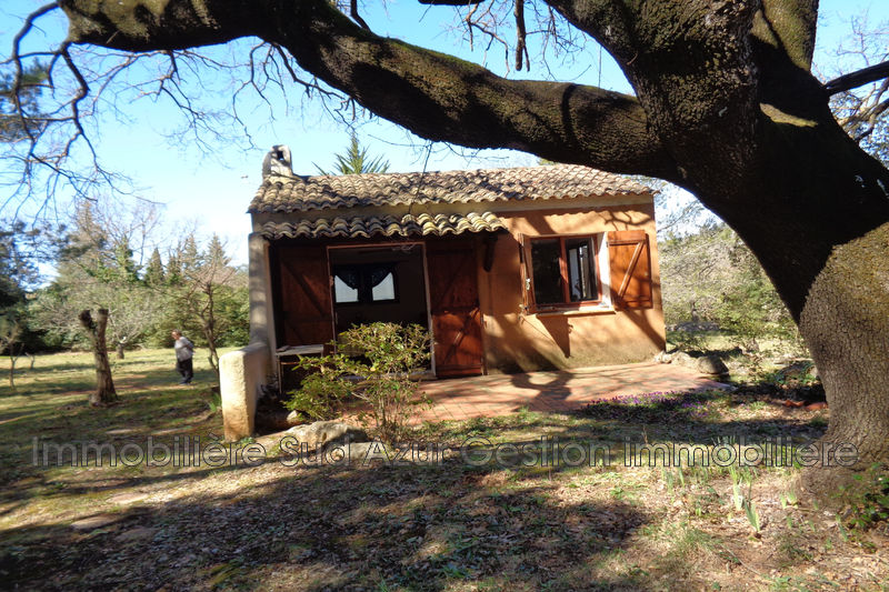 Photo Maison Solliès-Ville achat maison 1 pièce 27 m²