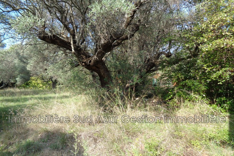 Vente Terrain Non Constructible Sollies Pont 83210 83 000