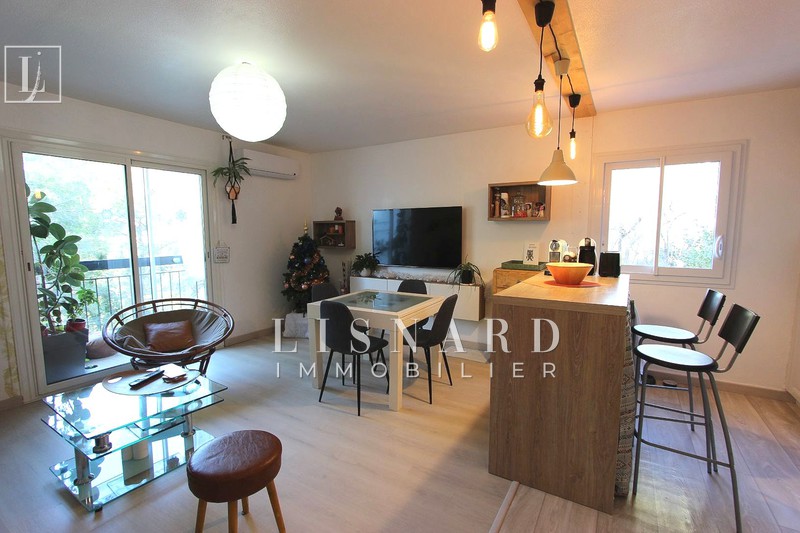 vente Appartement Vallauris Collines Appartement Vallauris Collines, achat appartement 2 pièces 50 m²