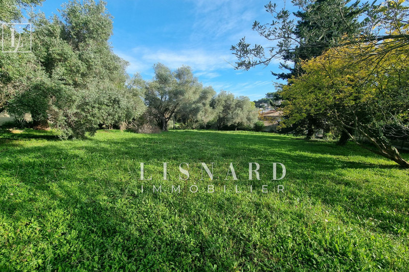 terrain  Vallauris   1630 m² -   
