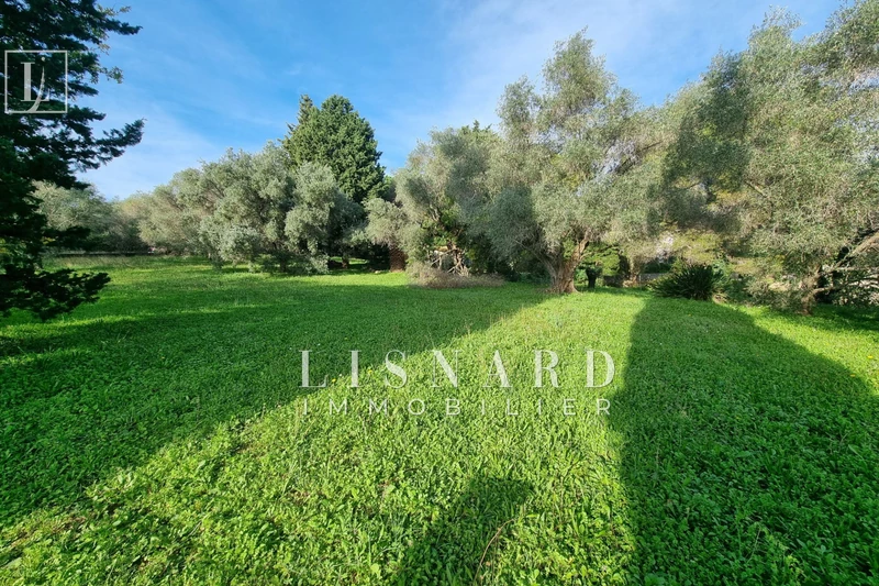Vente terrain Vallauris  