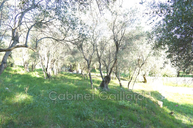 Vente terrain Cabris  