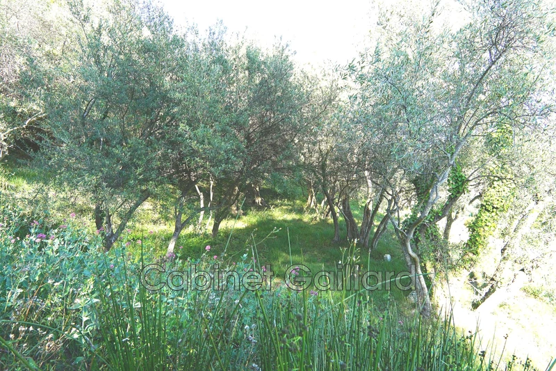 Vente terrain Cabris  
