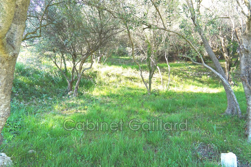 Vente terrain Cabris  