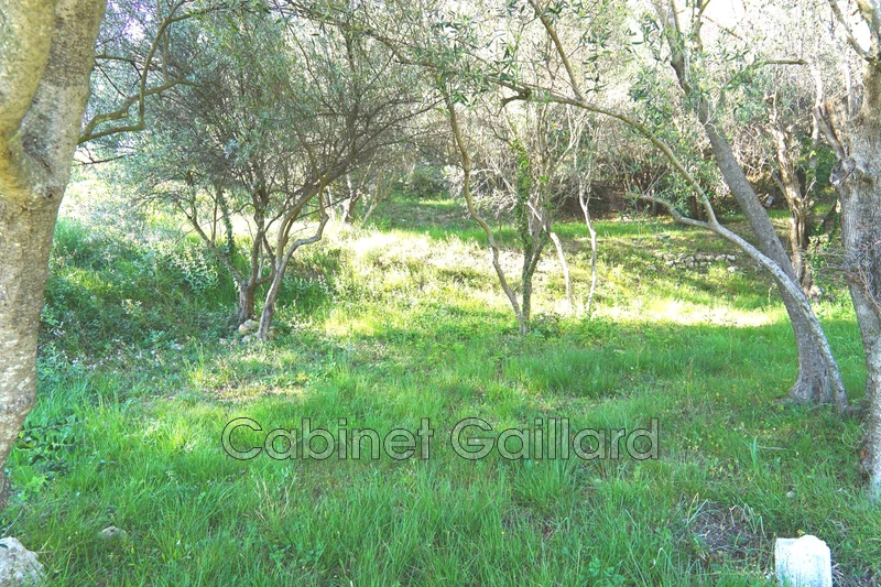 Vente terrain Cabris  