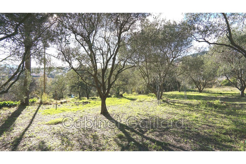 Vente terrain Grasse  