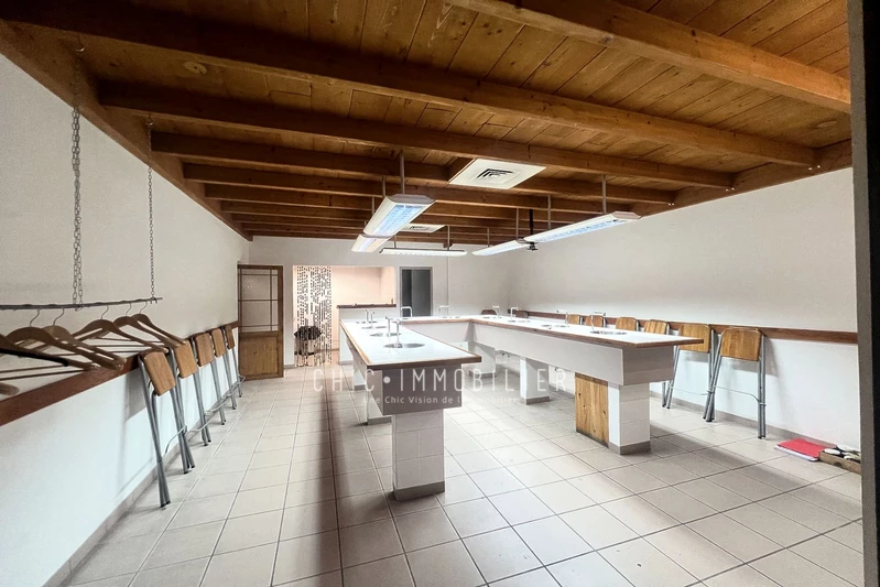 Professionnel local commercial Perpignan  Professionnel local commercial Perpignan