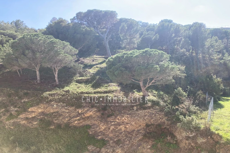 Vente appartement Banyuls-sur-Mer  