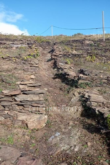 Vente terrain Collioure  