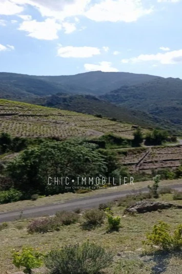 Vente terrain Collioure  