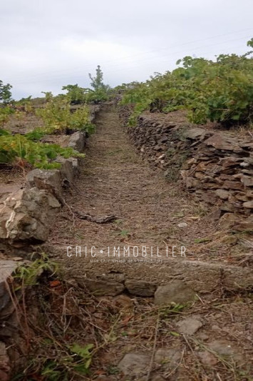 Vente terrain Collioure  