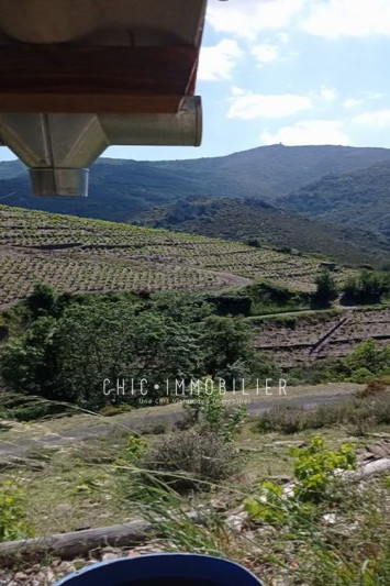 Vente terrain Collioure  