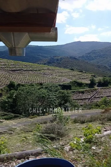 Vente terrain Collioure  