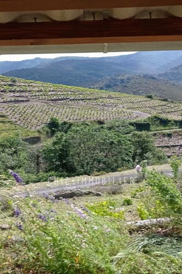 Vente terrain Collioure  